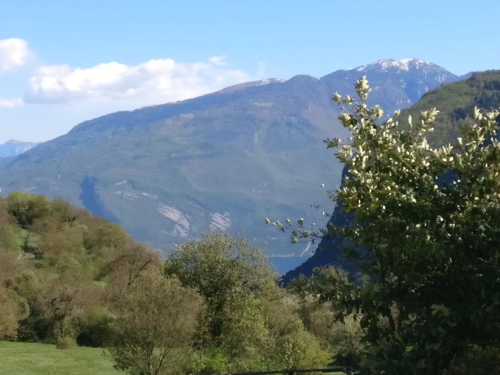 Garnì Al Laghet Hotell Tenno Eksteriør bilde